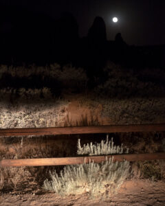 Night scene showing moonlit silhouettes of rock formations above a wooden fence and low desert shrubs.