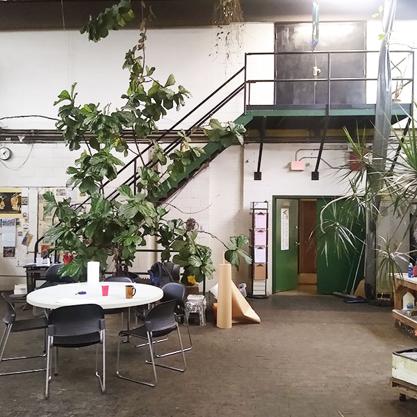 Vanguard_NBA_Home-News Photo of interior of a plant-filled open-plan studio.