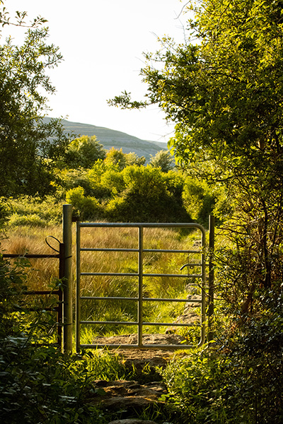 A photo of a sunny landscape and a gate into a field in Ballyvaughan, Ireland.