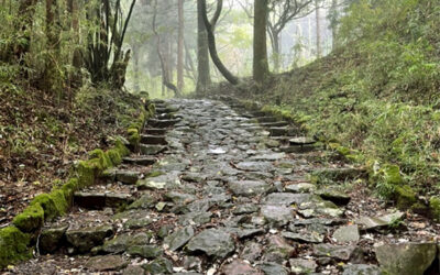 Sabbatical journey: Revelations and a new course for students