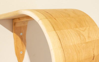 Fine Art senior selected for Wisconsin Artists Biennial 2026