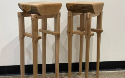 Meet Logan Moris and 2026 Senior Exhibition Project Regrowth