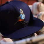 Navy baseball hat with a robin bird honoring Robin Yount designed by Ric Stultz