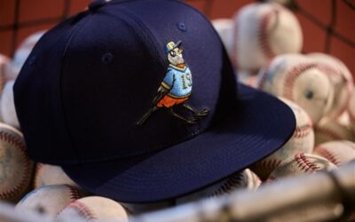 MIAD faculty designs for Brewers Wisconsin Artist Series