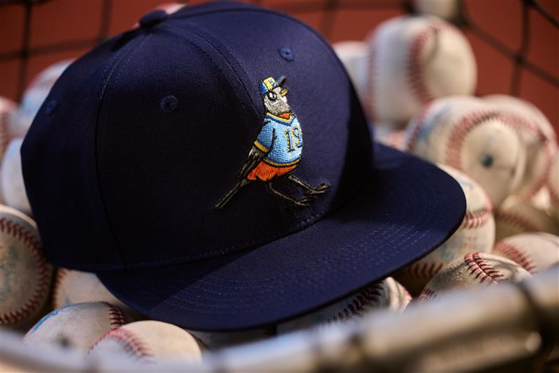 Navy baseball hat with a robin bird honoring Robin Yount designed by Ric Stultz