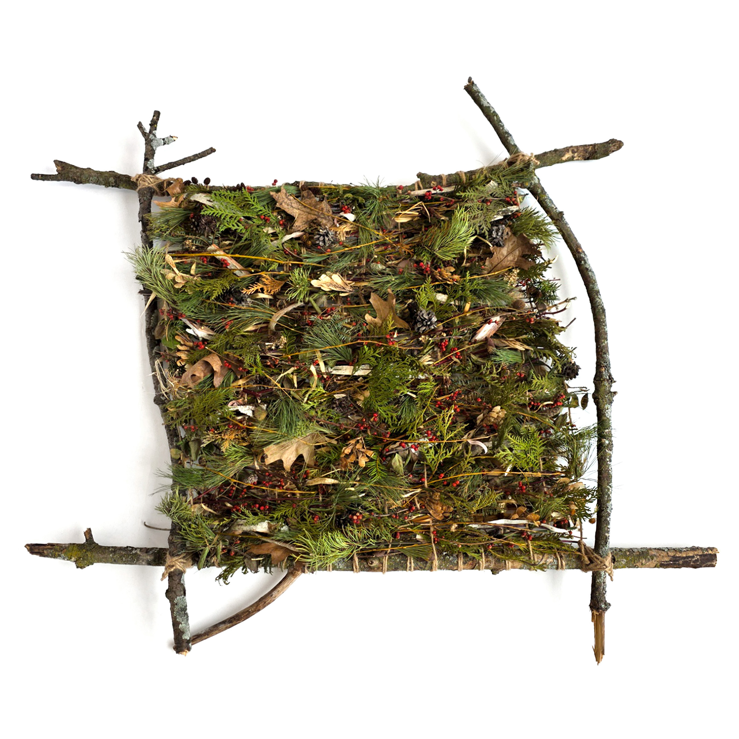 Square formed by sticks filled with woven pine branches, tree leaves and berries