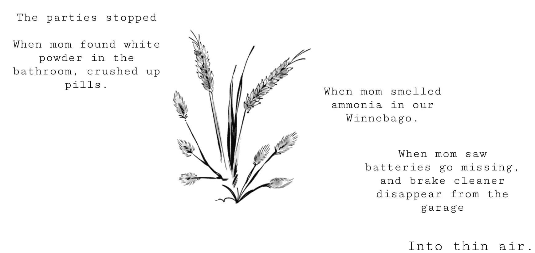 Minimal composition with plants centered between typed text describing discovery of substances and household items going missing.