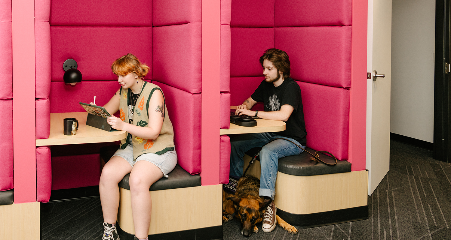 Two students sitting in pink cubicles