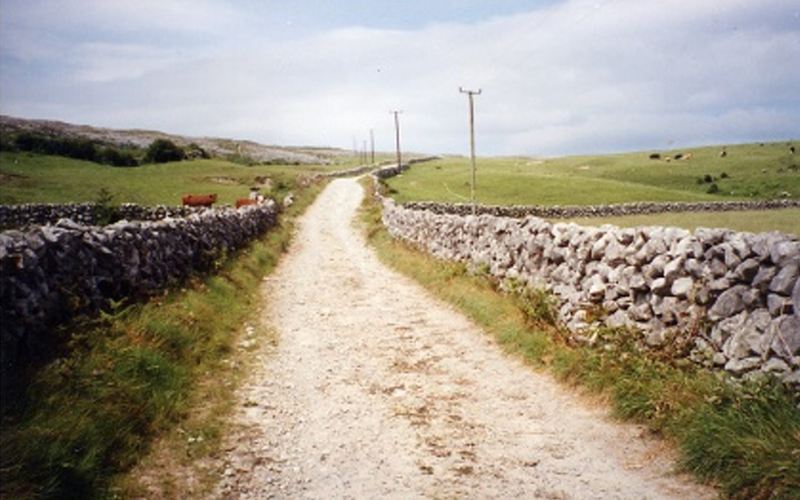 A gravel country road extends into the distance between stone walls and green fields, with utility poles lining the route under a cloudy sky.